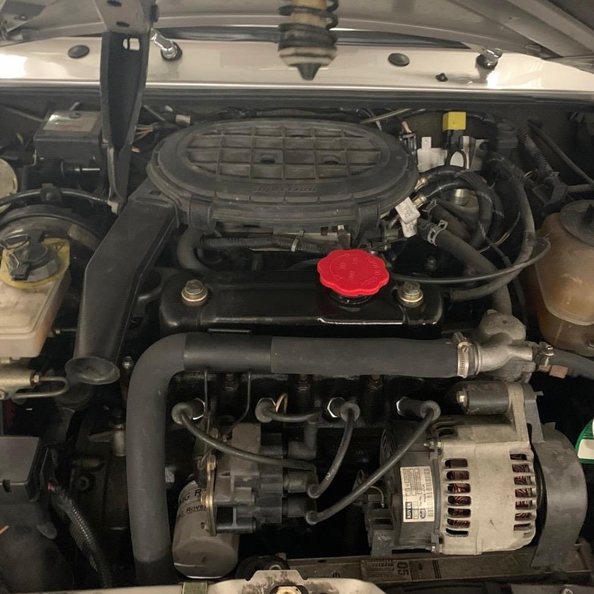 180f9e41-48d3-40e5-9274-32a91d20379f.jpeg